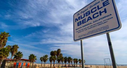 muscle-beach-